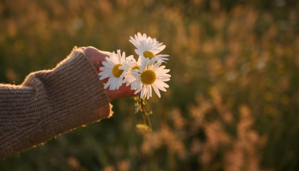 Cuidamos Tu Salud: Análisis Clínicos y Estudios de Laboratorio en Girona