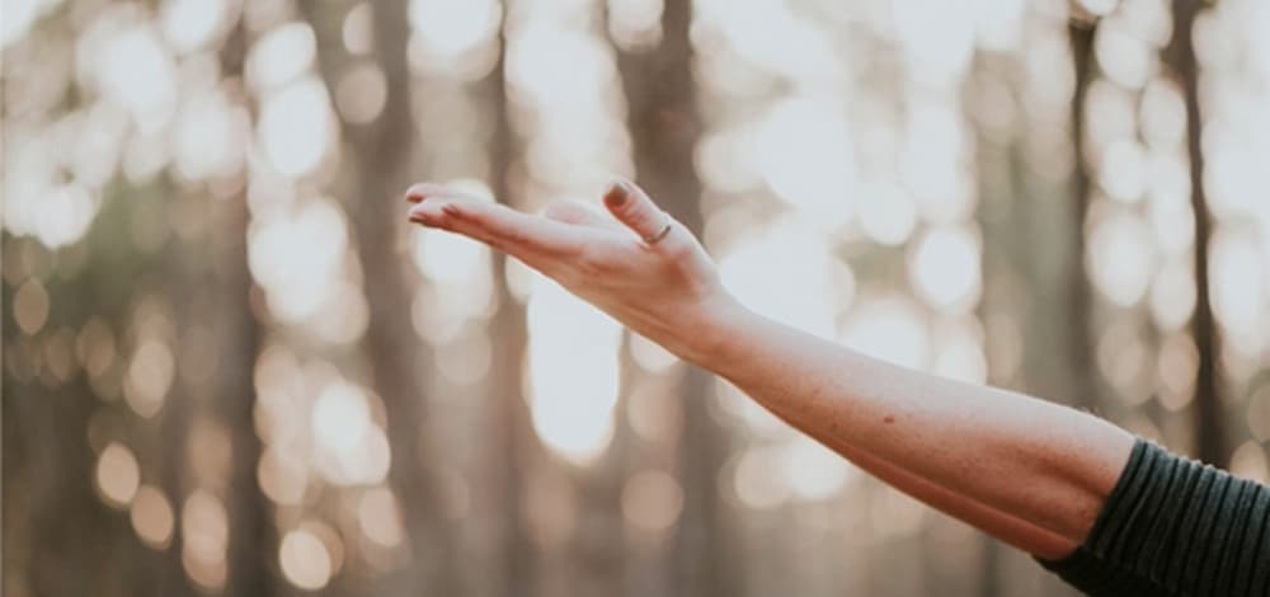 Doctora Luisa Macias