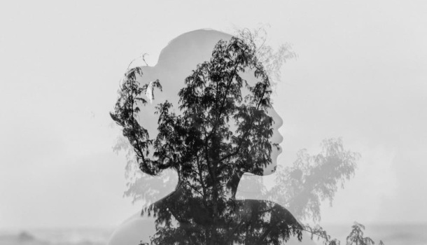 Descubre la Belleza Integral