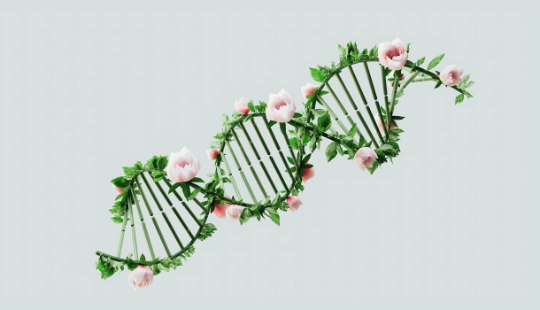 Descubre el Poder de la Genética en el Centro Médico 4Elements: Presentamos los Test Genéticos de OverGenes