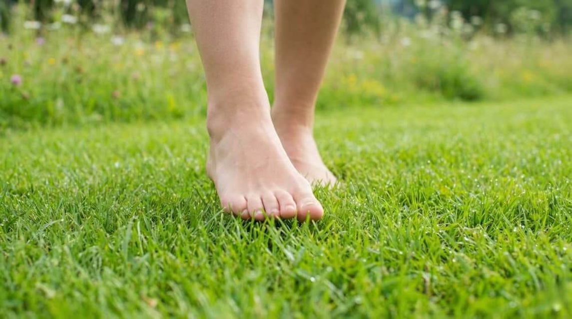 Mindfulness y Terapia Cognitiva